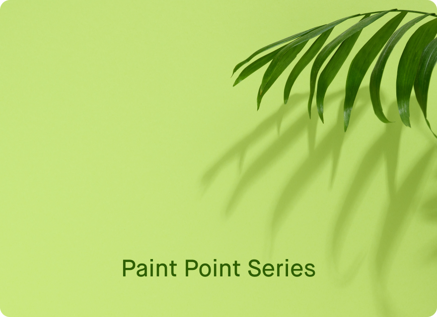 Paint Point Series